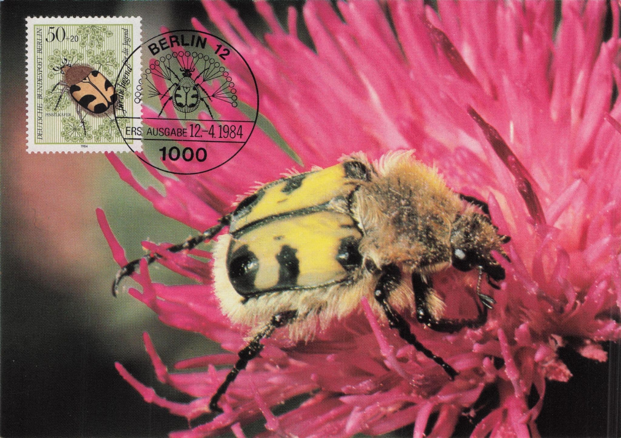 Pinselkafer German Bee Beetle Insect Rare Berlin FDC Postcard