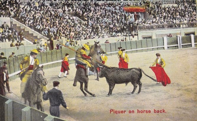 Piquer On Horse Back Antique Spanish Matador Bullfighting Postcard