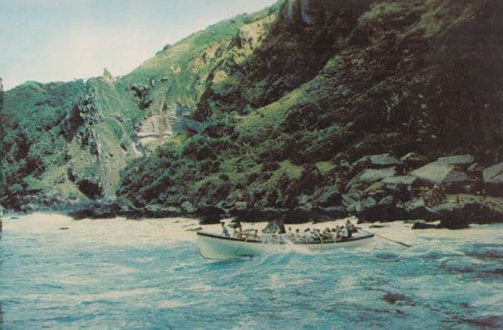 Pitcairn Island Whale & Fruit Boats Leaving Bounty Bay 1970s Postcard