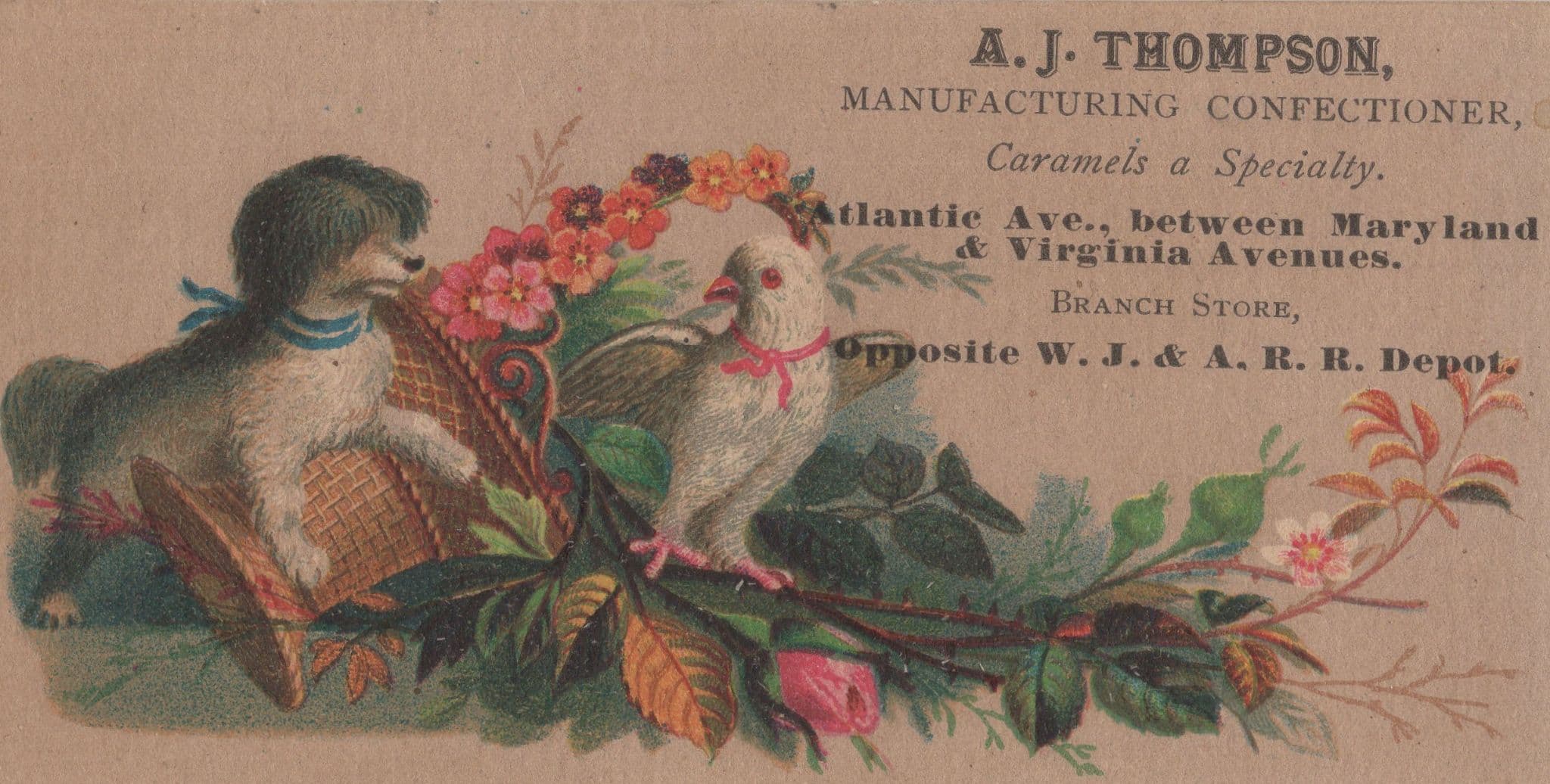 Playful Dog With Amazing Bird Caramel Confectionary Advertising Card