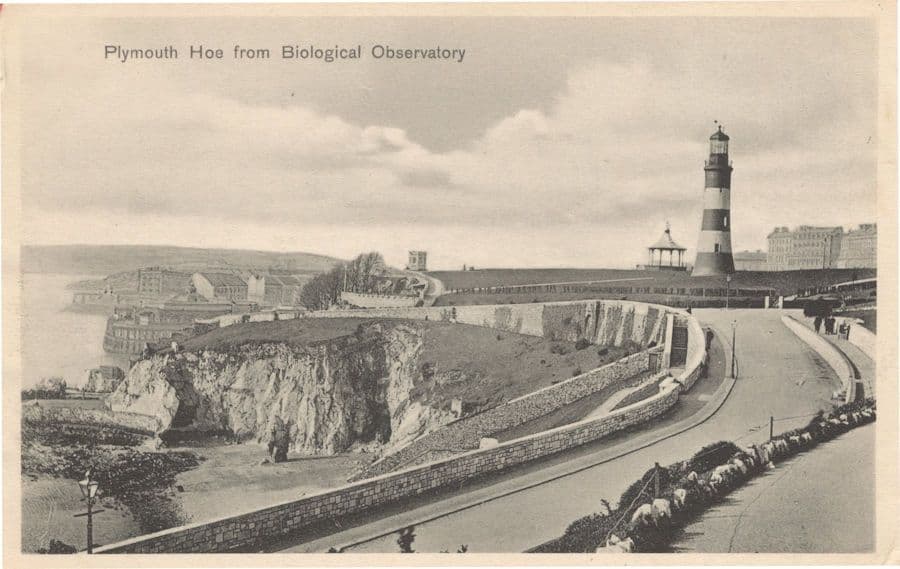 Plymouth From The Biological Observatory Devon Old Postcard