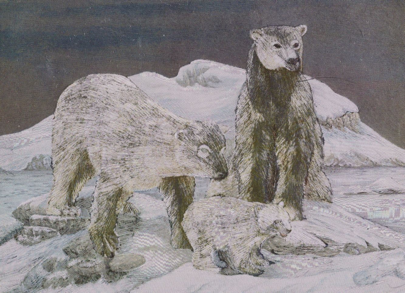 Polar Bears Real Metallic Shine Glitter Bear Postcard