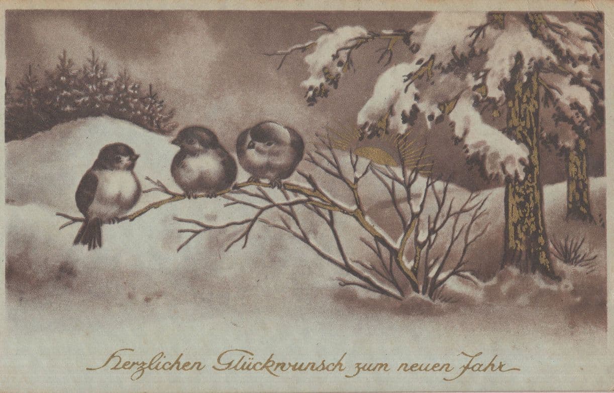Polish Christmas Bird Real Gold Glitter Sparkle Old Postcard