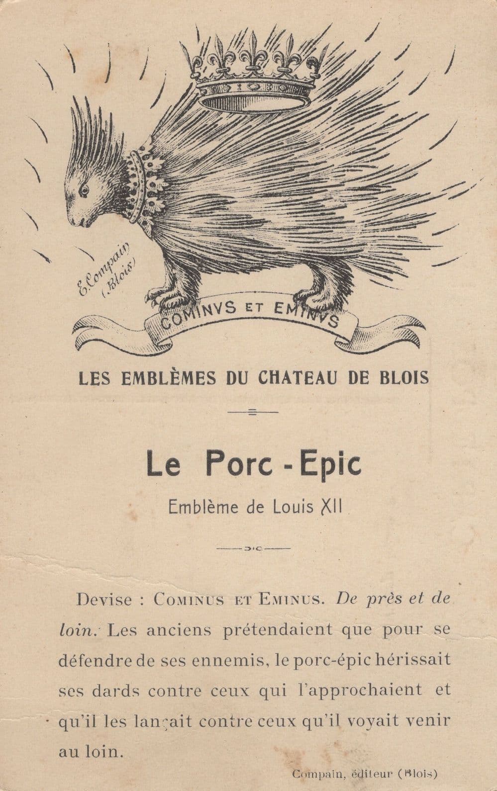 Porcupine Porc-Epic Hedgehog Antique French Postcard
