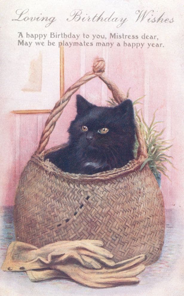 Posh Rubber Gardening Gloves Happy Birthday Black Cat Antique Greetings Postcard