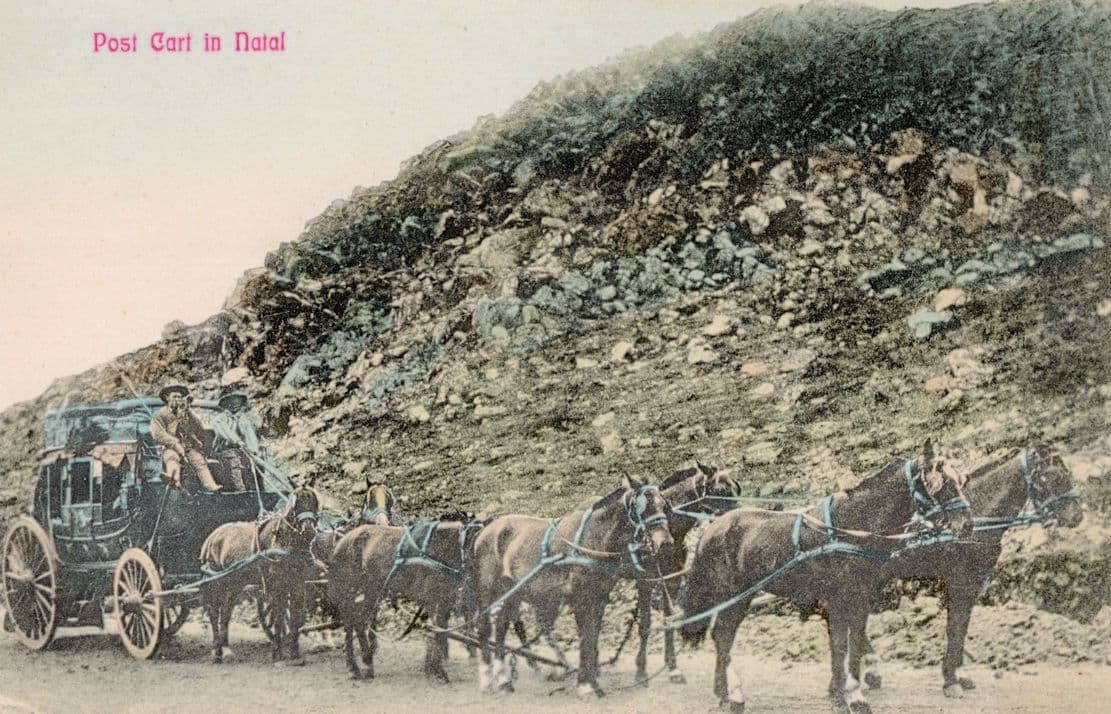 Post Cart Postman In Natal Transport South Africa Old Postcard