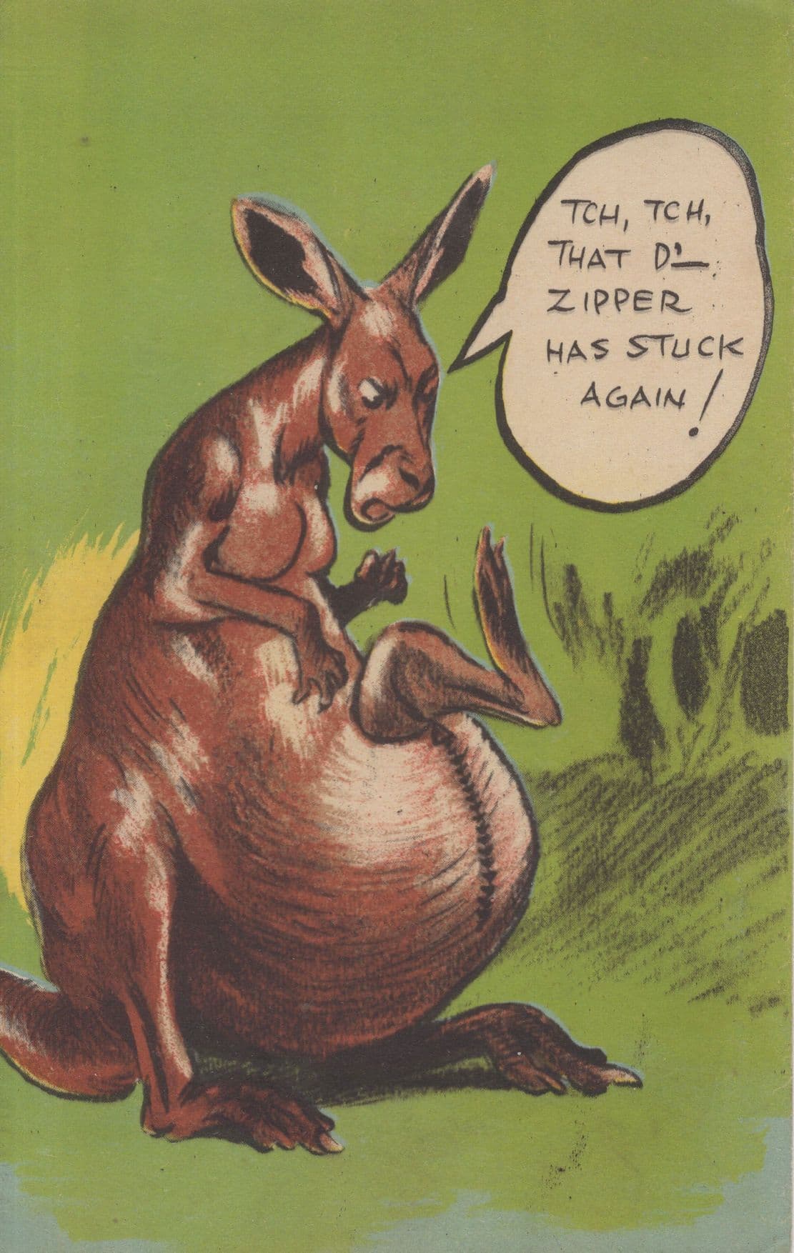 Pregnant Kangaroo Vintage Australian Comic Postcard