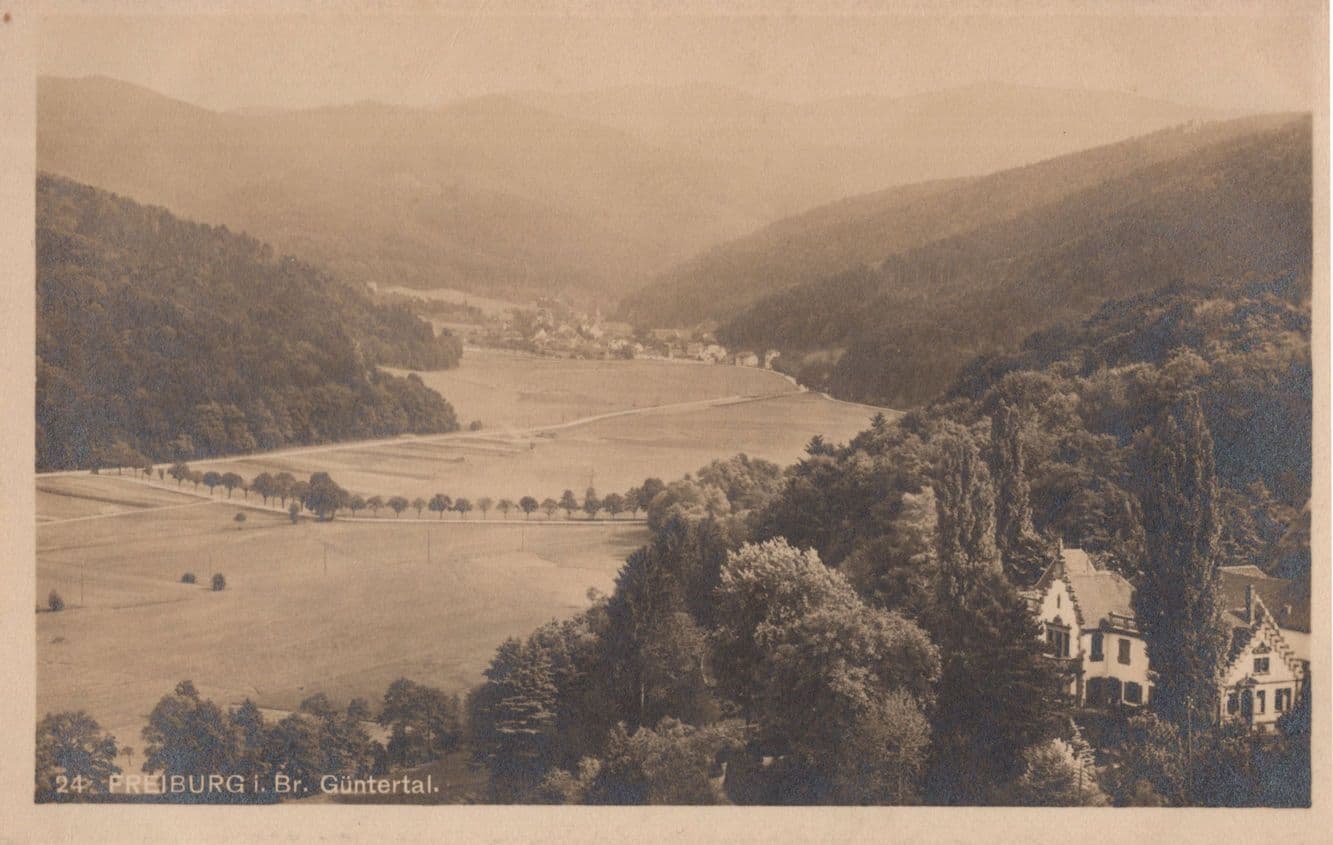 Prieburg Rare German Lake Old Postcard