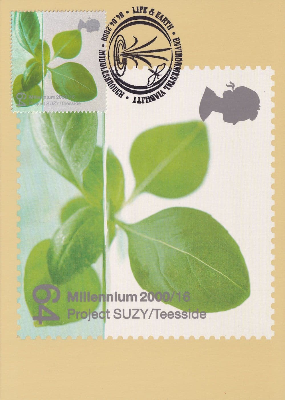 Project Suzy Middlesborough Environment Earth PHQ Postcard