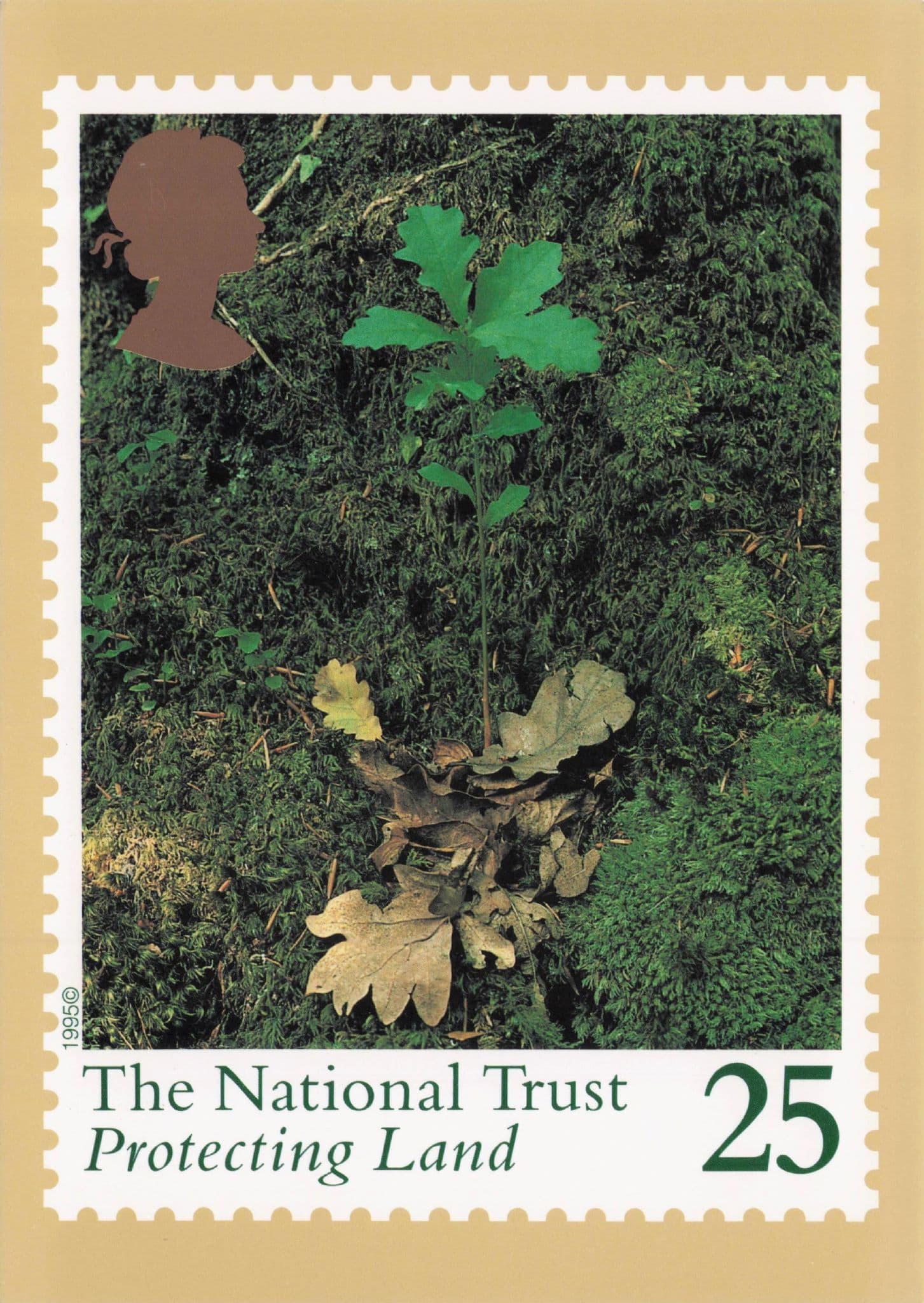 Protecting Land National Trust Celebrating 100 Years Limited Edition Postcard