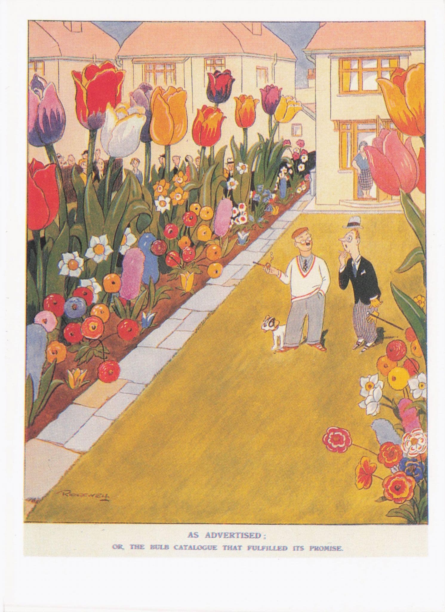 Punch Magazine 1930s Bulb Garden Dog Flowers Comic Postcard
