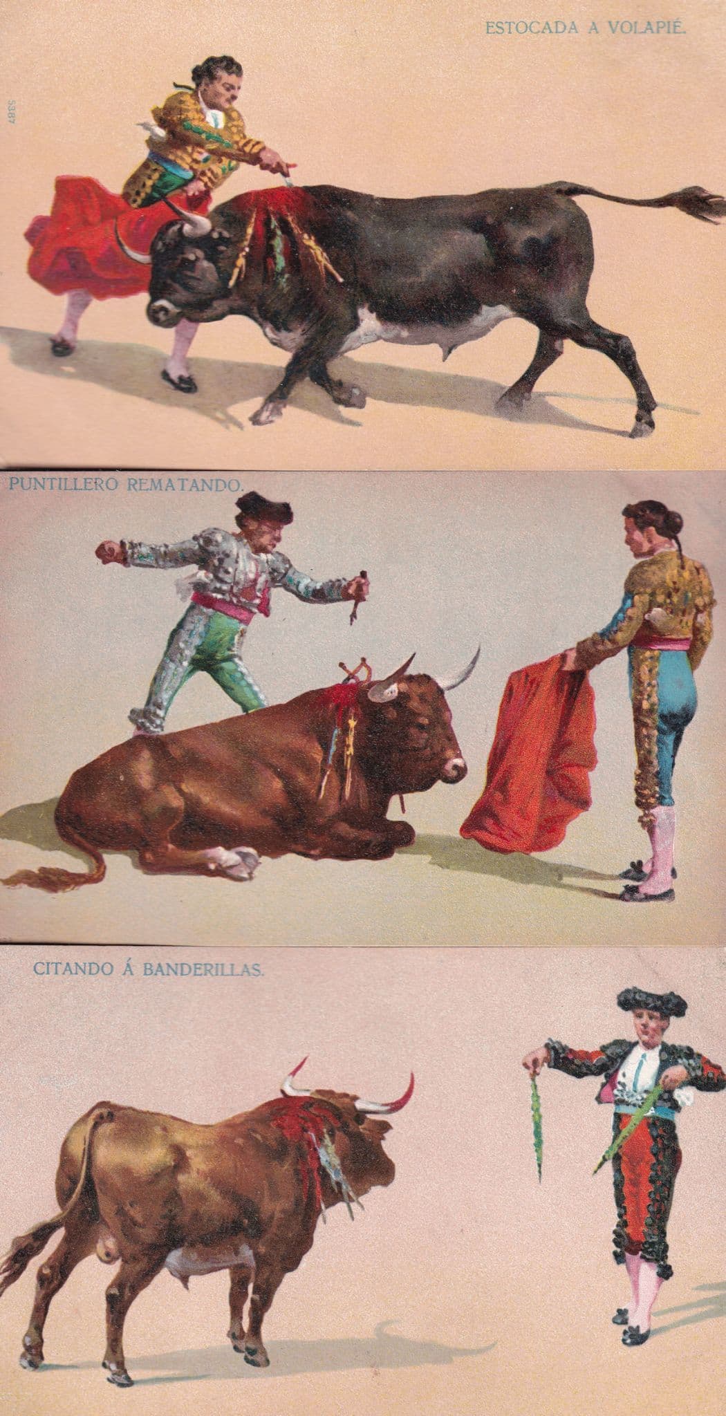 Puntillero Rematando Bull Fight Animal Slaughter 3x Postcard