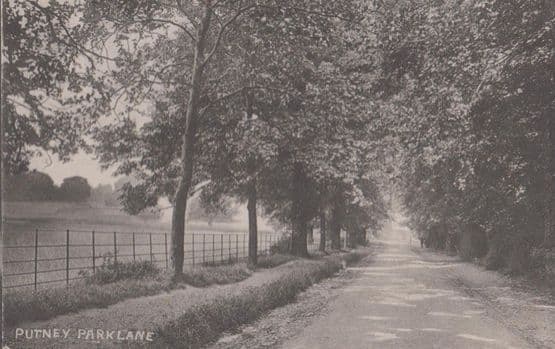 Putney Park Lane Antique Postcard