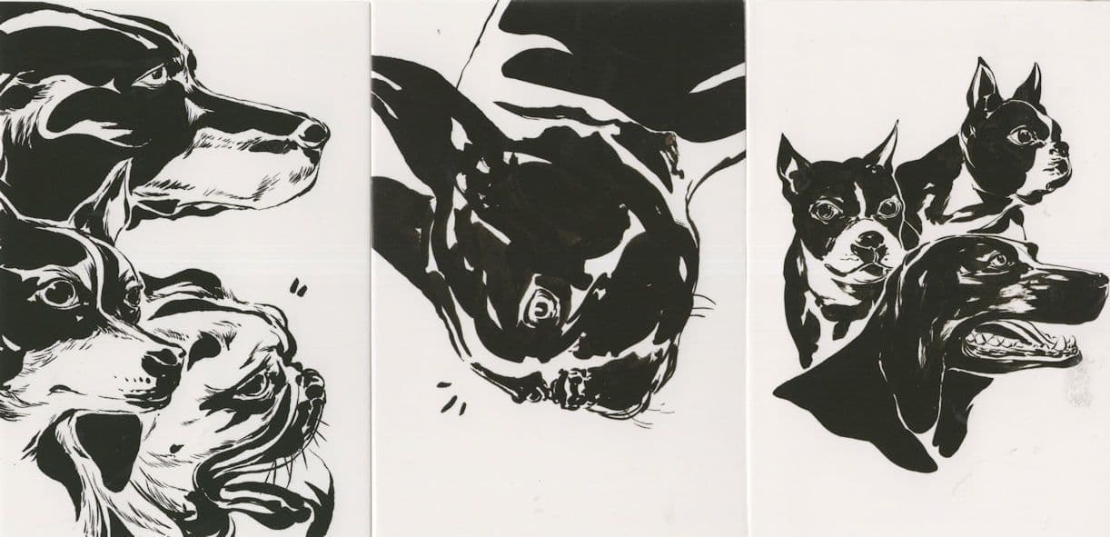 Puzzled Confused Dogs 3x Dog Painting Postcard s