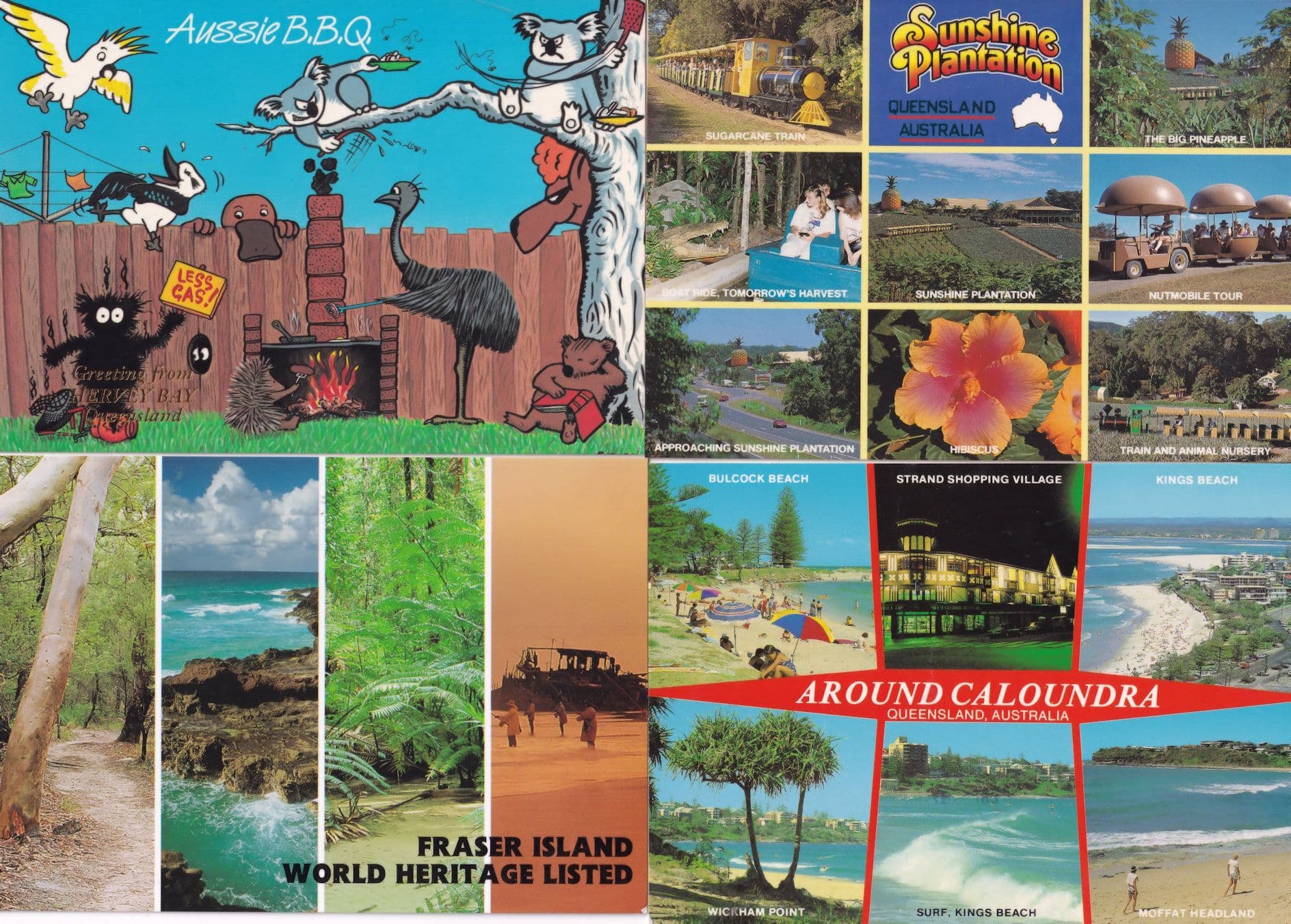 Queensland BBQ Not Eating Cats Caloundra Sunshine Plantation Tour 4x Postcard s