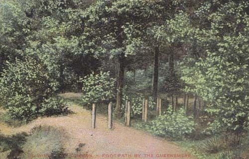 Queensmere Wimbledon Common London Forest Footbath Antique Postcard