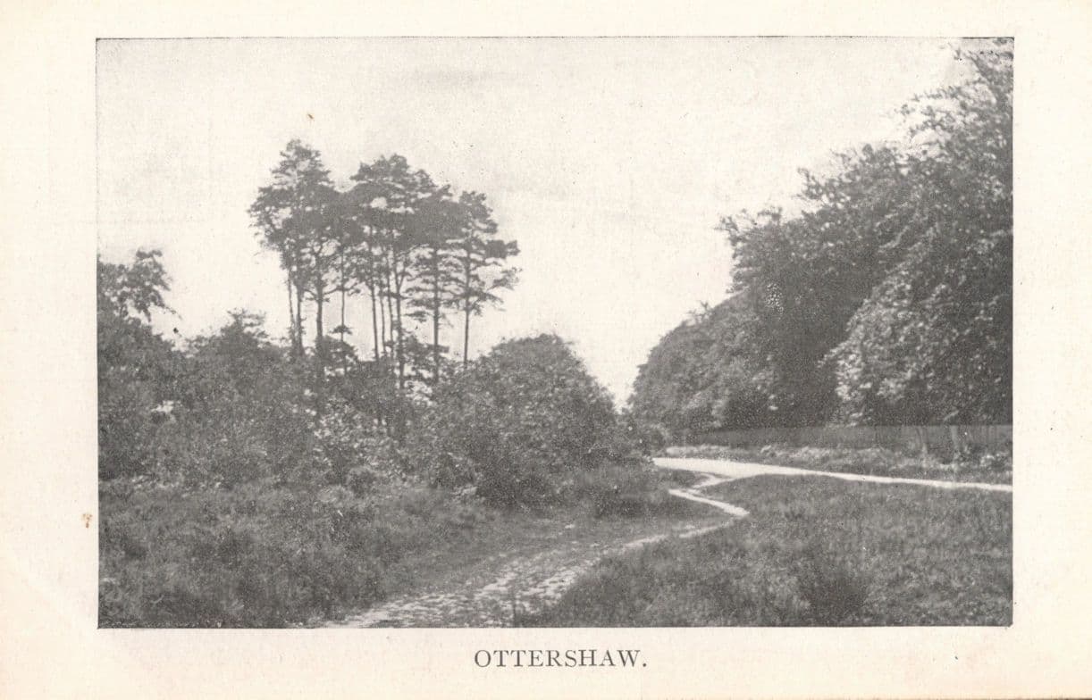 Quiet Path in Ottershaw Surrey Beautiful Gardens Antique Postcard