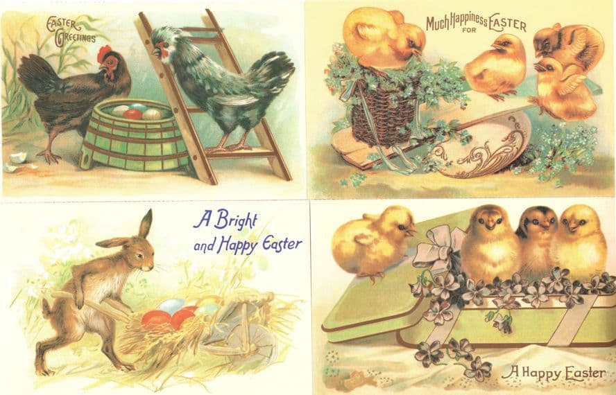 Rabbit Farming Baby Chicks Happy Easter 4x Postcard s