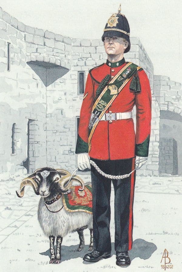 Ram Major & Goat Mascot Worcester Sherwood Foresters Regiment Postcard