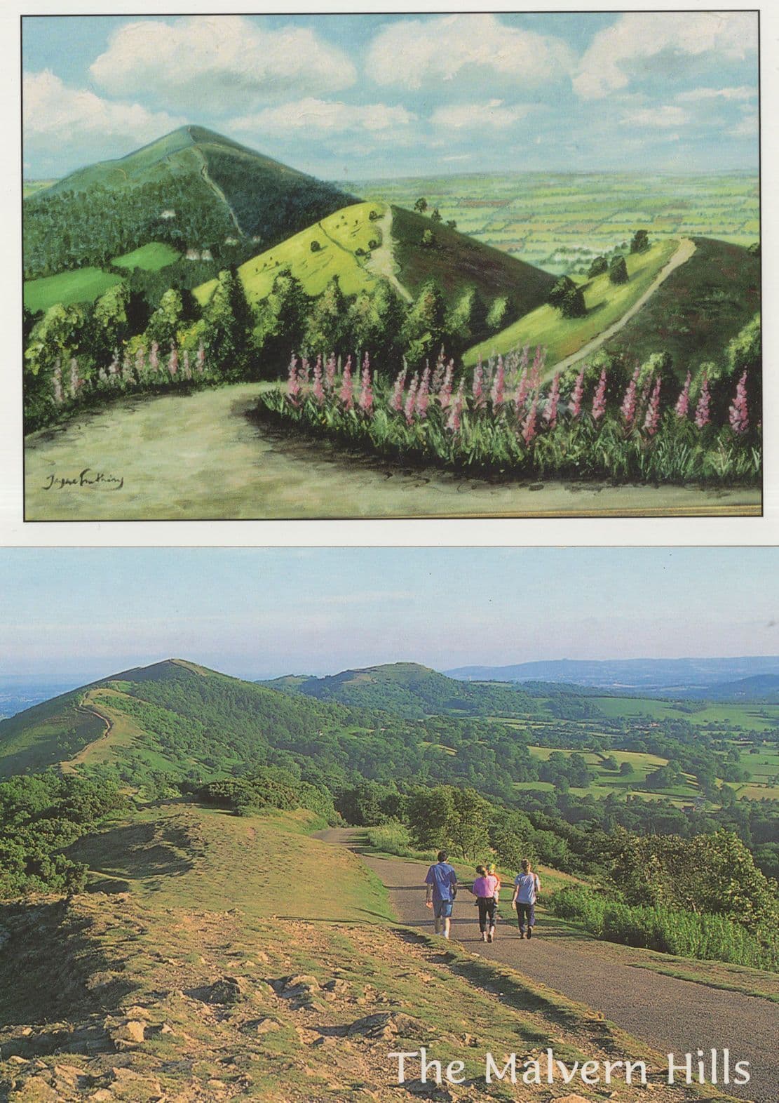 Rambling On Malvern Hills & Summer Painting 2x Worcs Postcard s