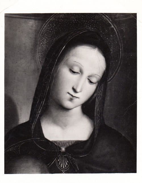 Raphael Madonna & Child French Art London National Gallery Painting Postcard