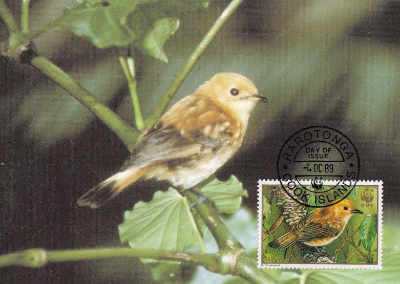 Rarotonga Flycatcher Cook Islands Rare Bird WWF Stamp First Day Cover Postcard