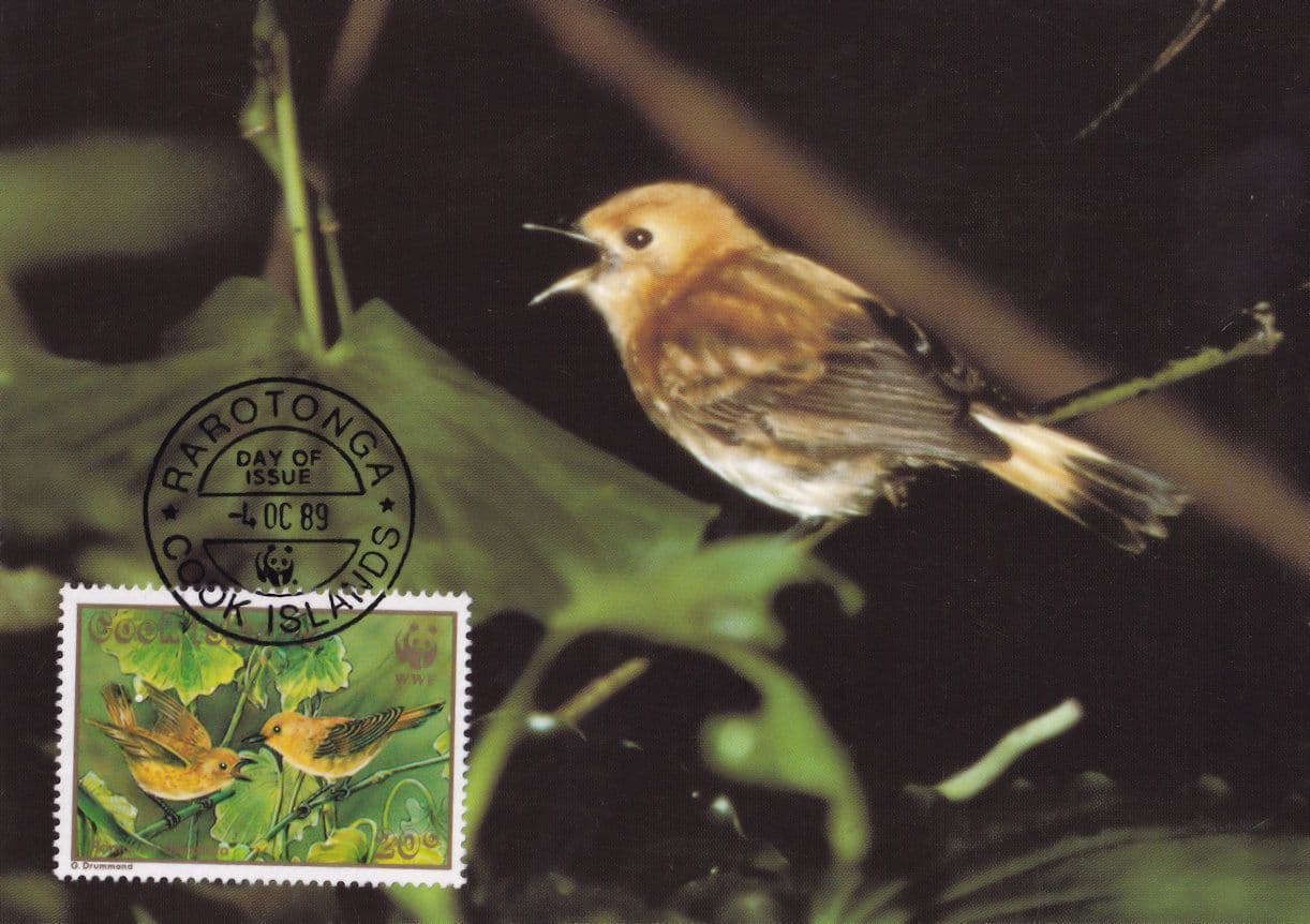 Rarotonga Flycatcher Tonga Cook Islands Bird WWF Stamp First Day Cover Postcard