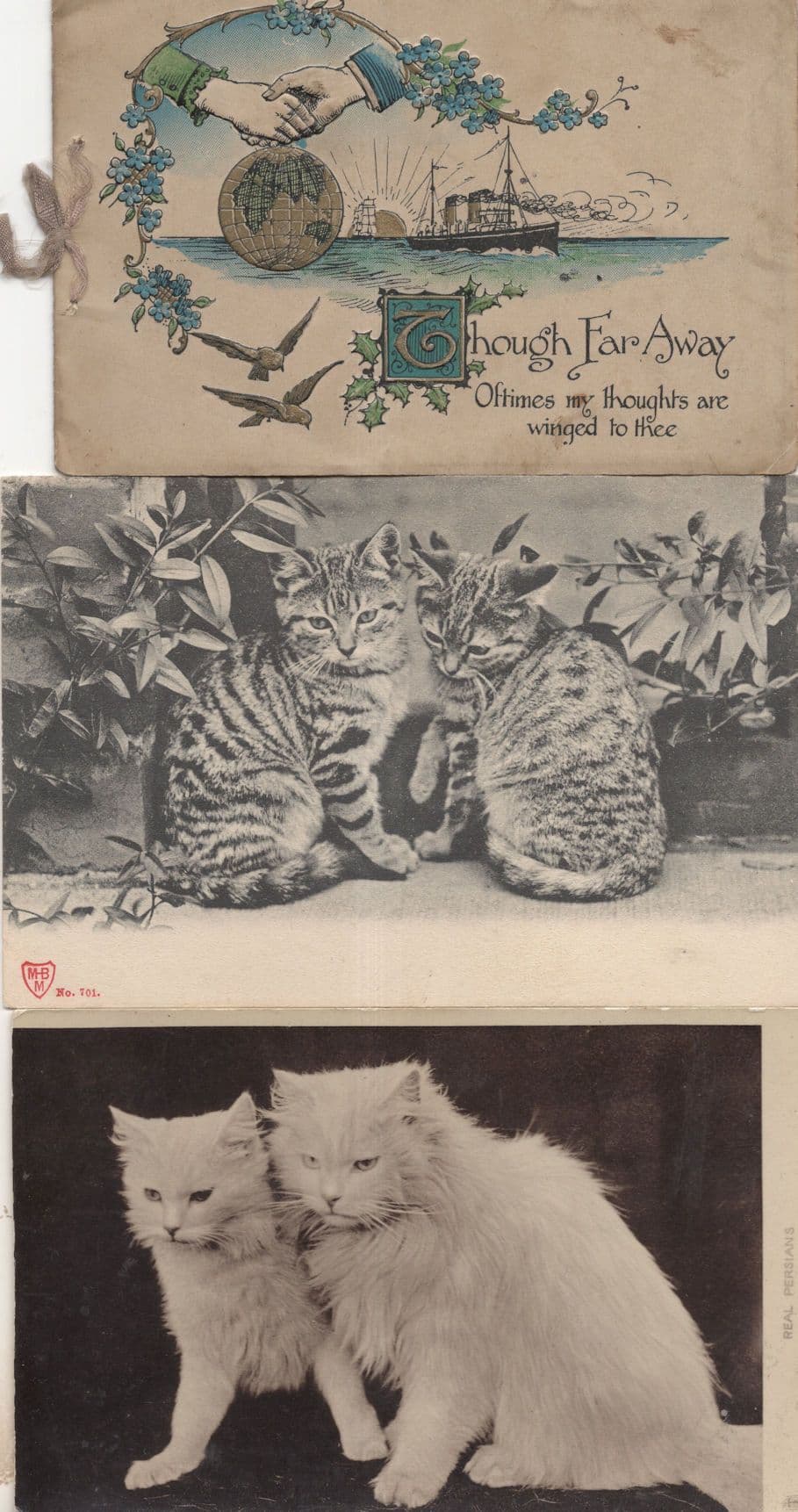 Real Persians Tabby Pairs Of Cats 2x Old Cat Postcard s
