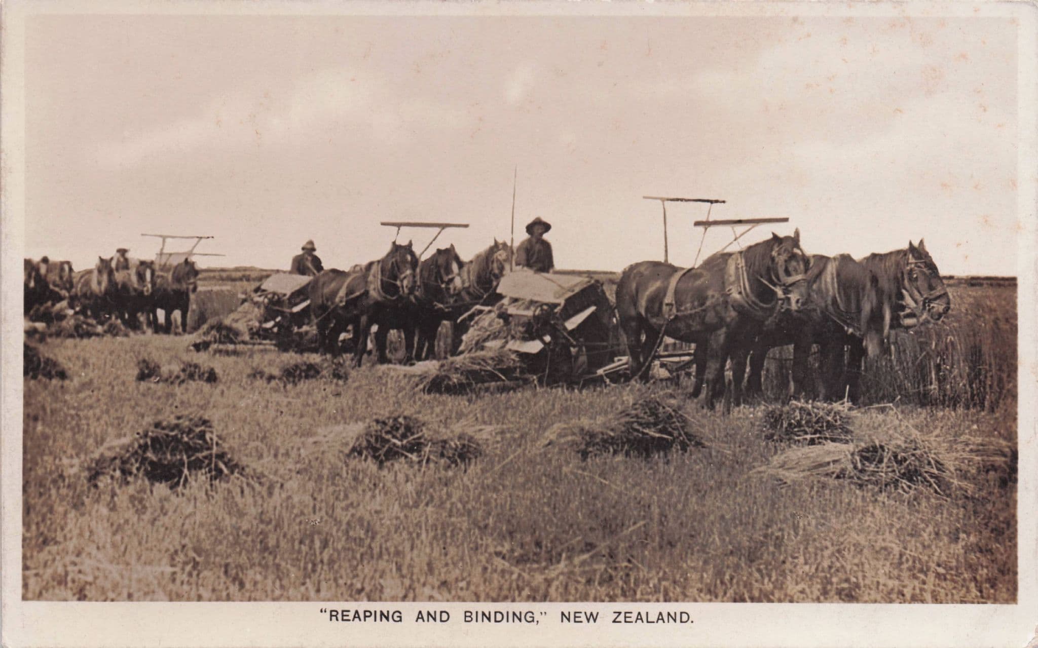 Reaping & Binding Farming Transport New Zealand Old RPC Postcard