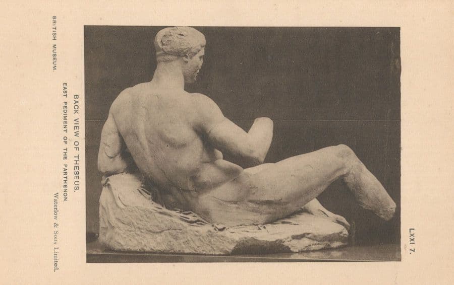 Rear Of Theseus Greek God Statue Antique Sculpture Mythology Postcard