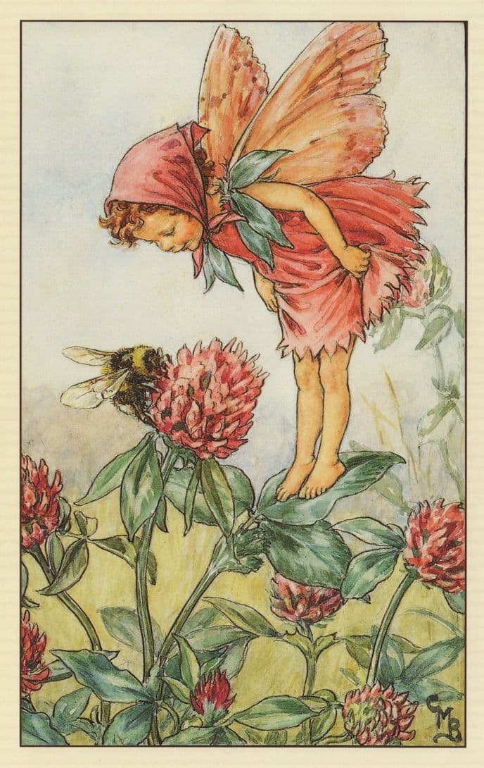 Red Clover Fairy Fairies from 1940s Book Painting Postcard