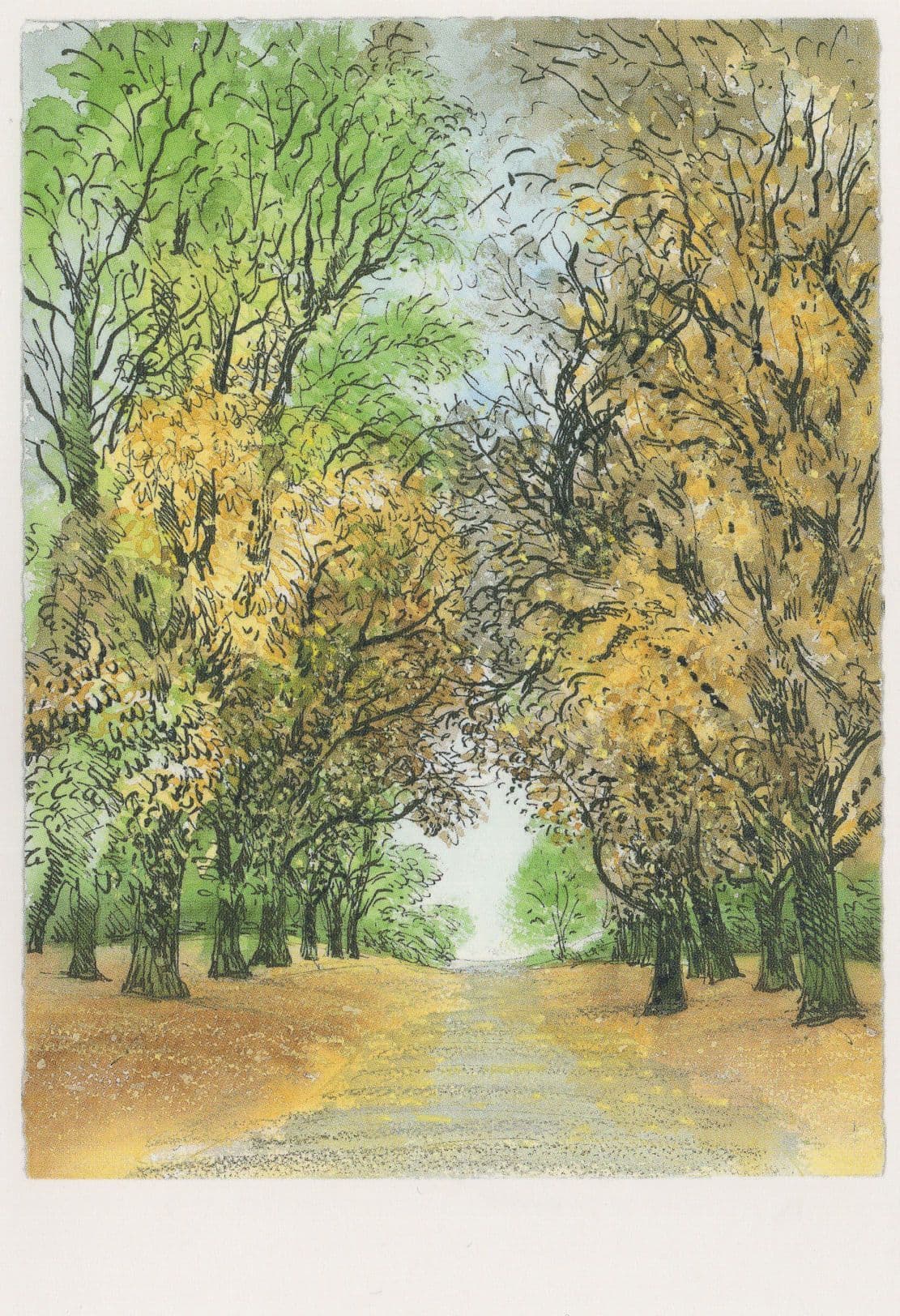 Regents Park Broad Walk Chestnut Trees London Painting Postcard