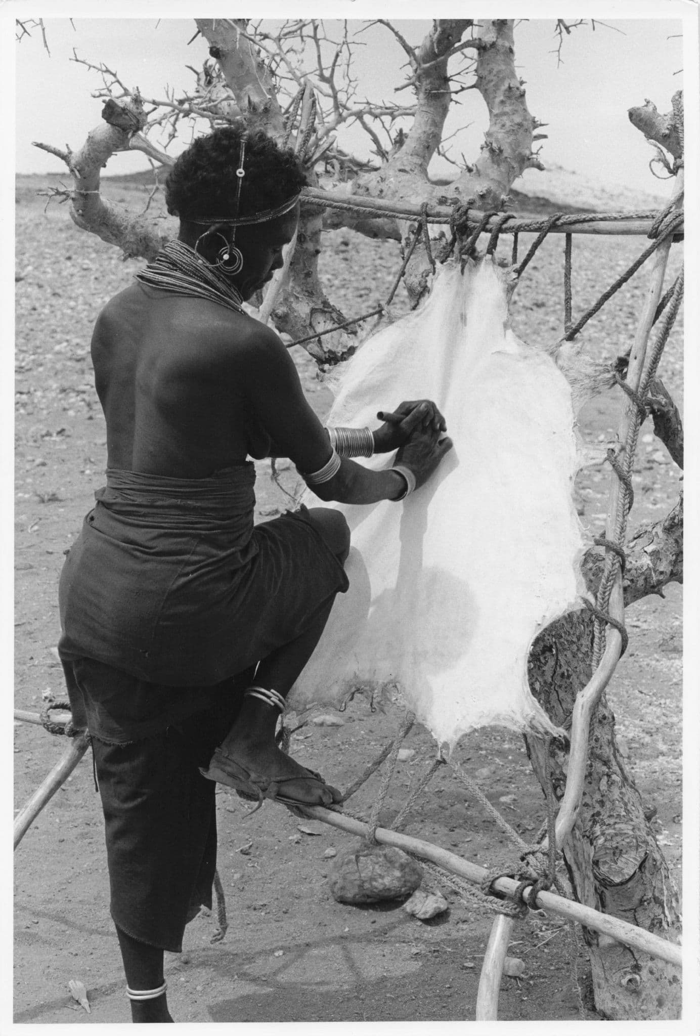 Rendille Woman Cleaning Skin Kenya African 9x7 Press Photo
