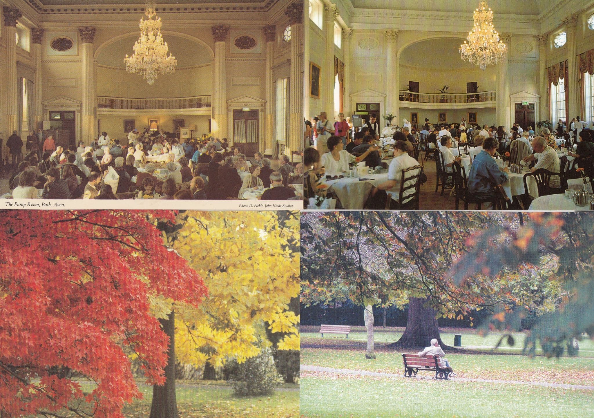 Restful Moments in Bath Avon Pump Room Flowers 4x Postcard s