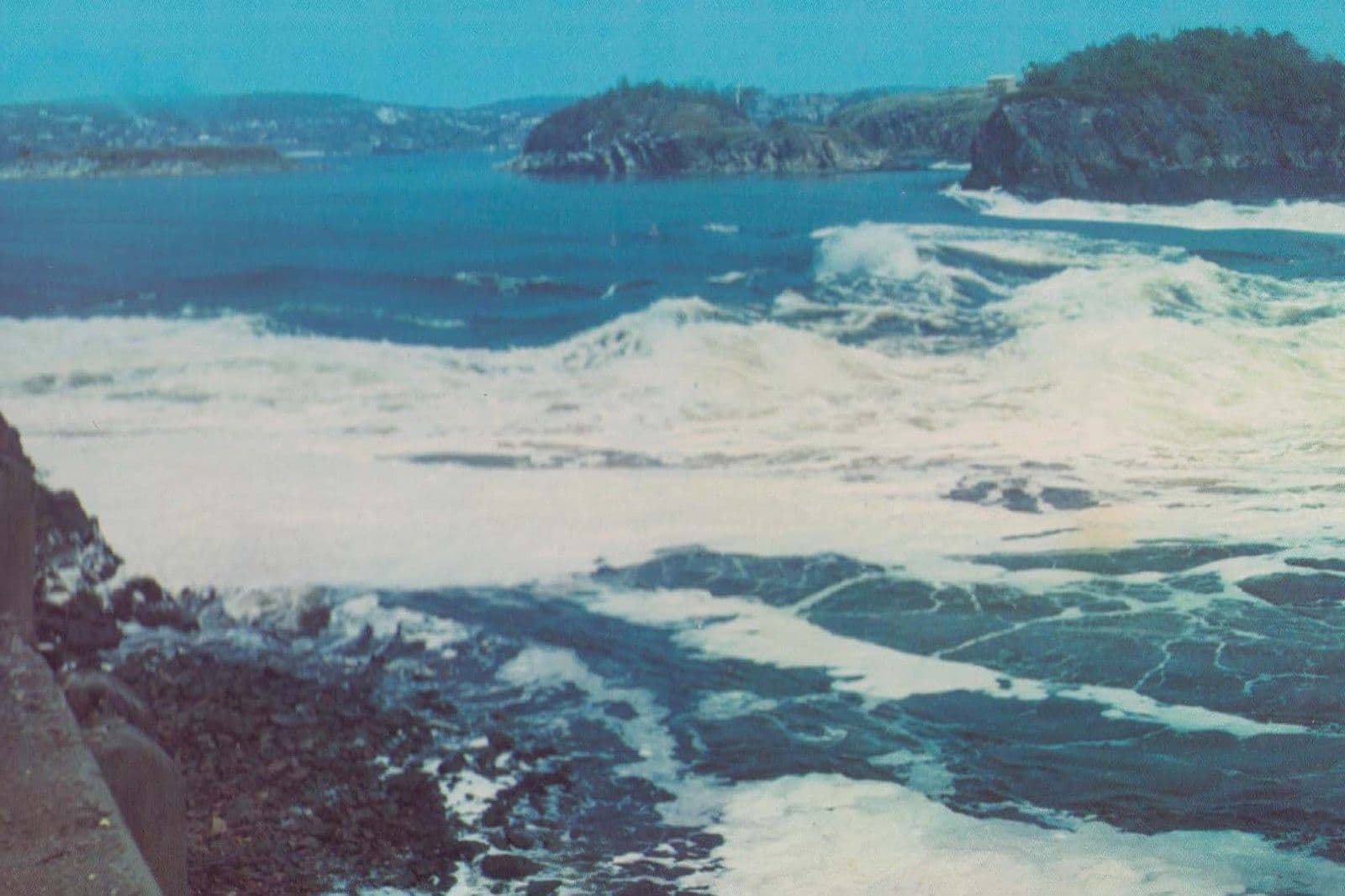 Reversing Falls Saint Johns Canada Canadian Postcard