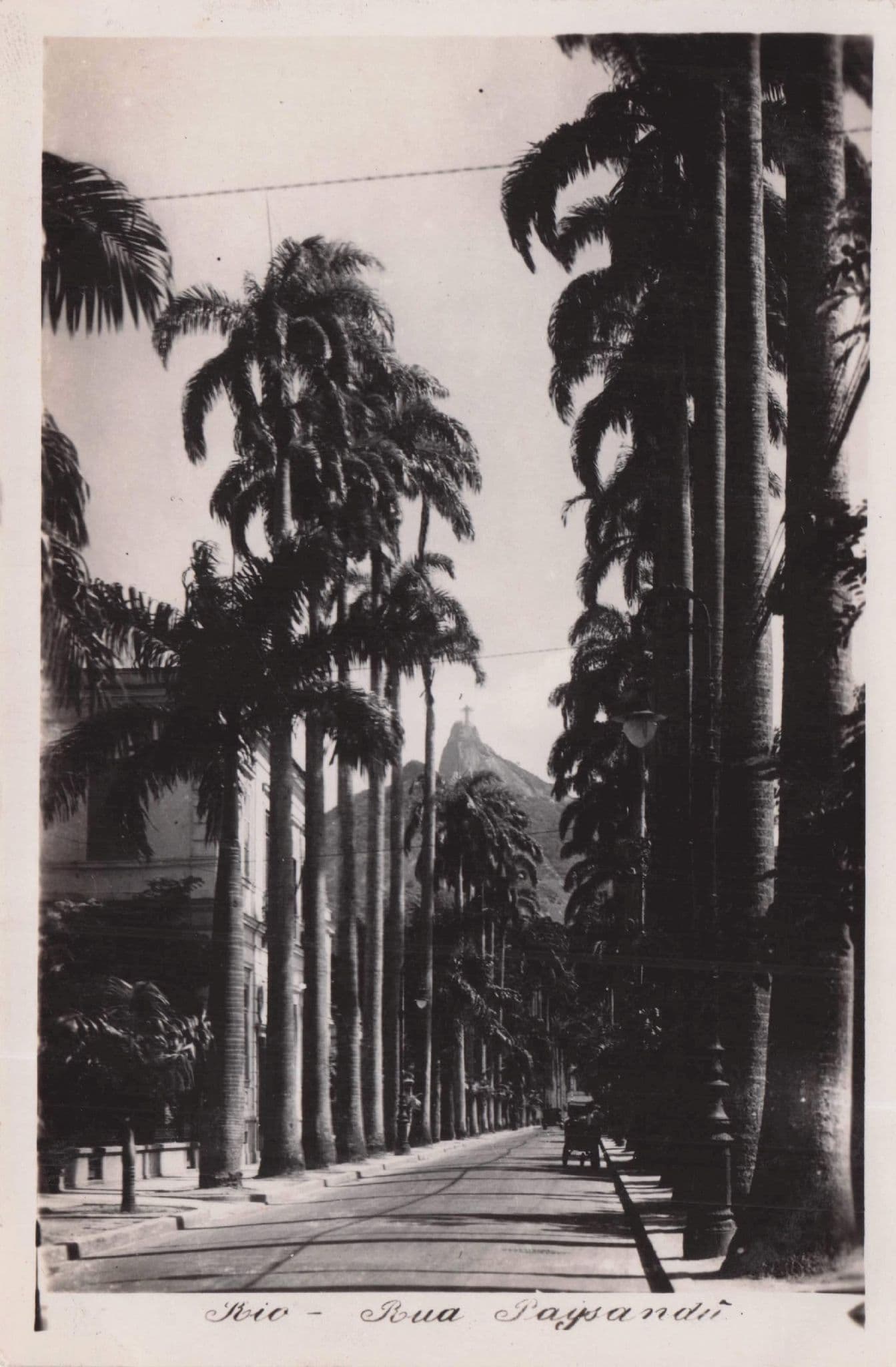 Rio De Janeiro Rue Paysandu South American Photo Postcard