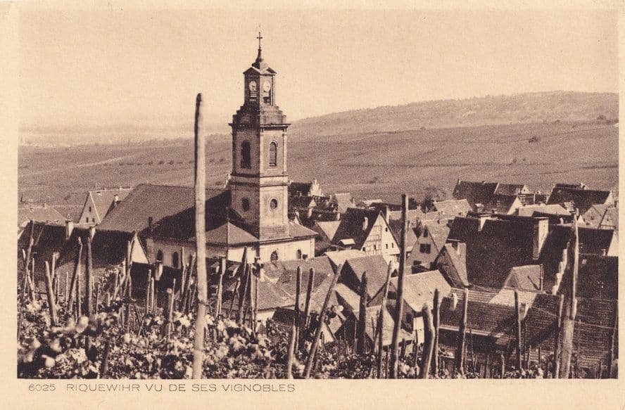 Riquewihr Vu De Ses Vignobles Antique French Aerial Postcard