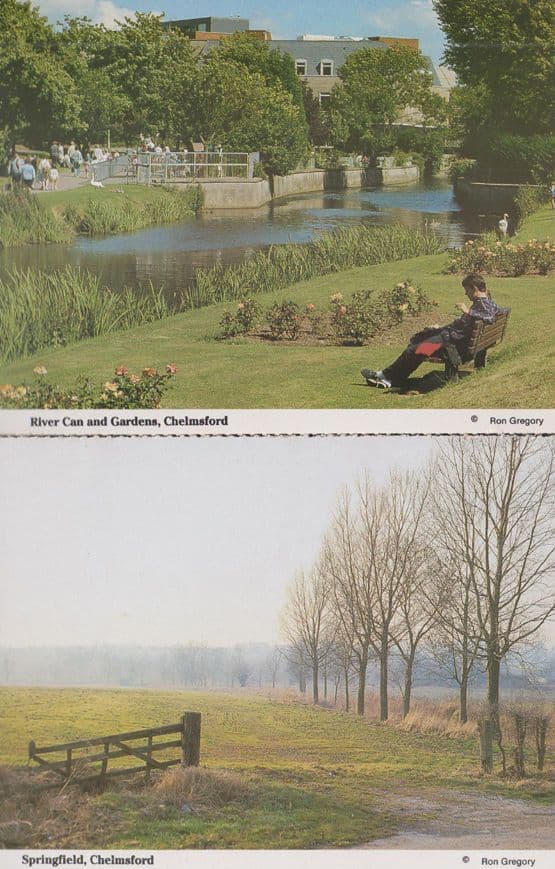 River Can & Springfield Farm Fields in Autumn 2x Chelmsford Postcard s