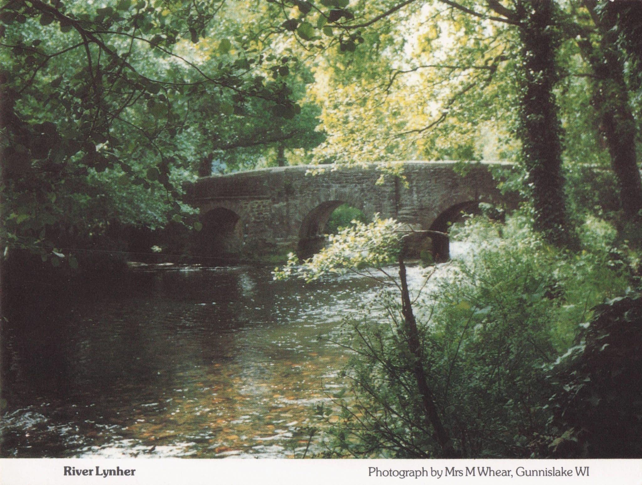 River Lynher in Autumn Cornwall Women's Institute Postcard