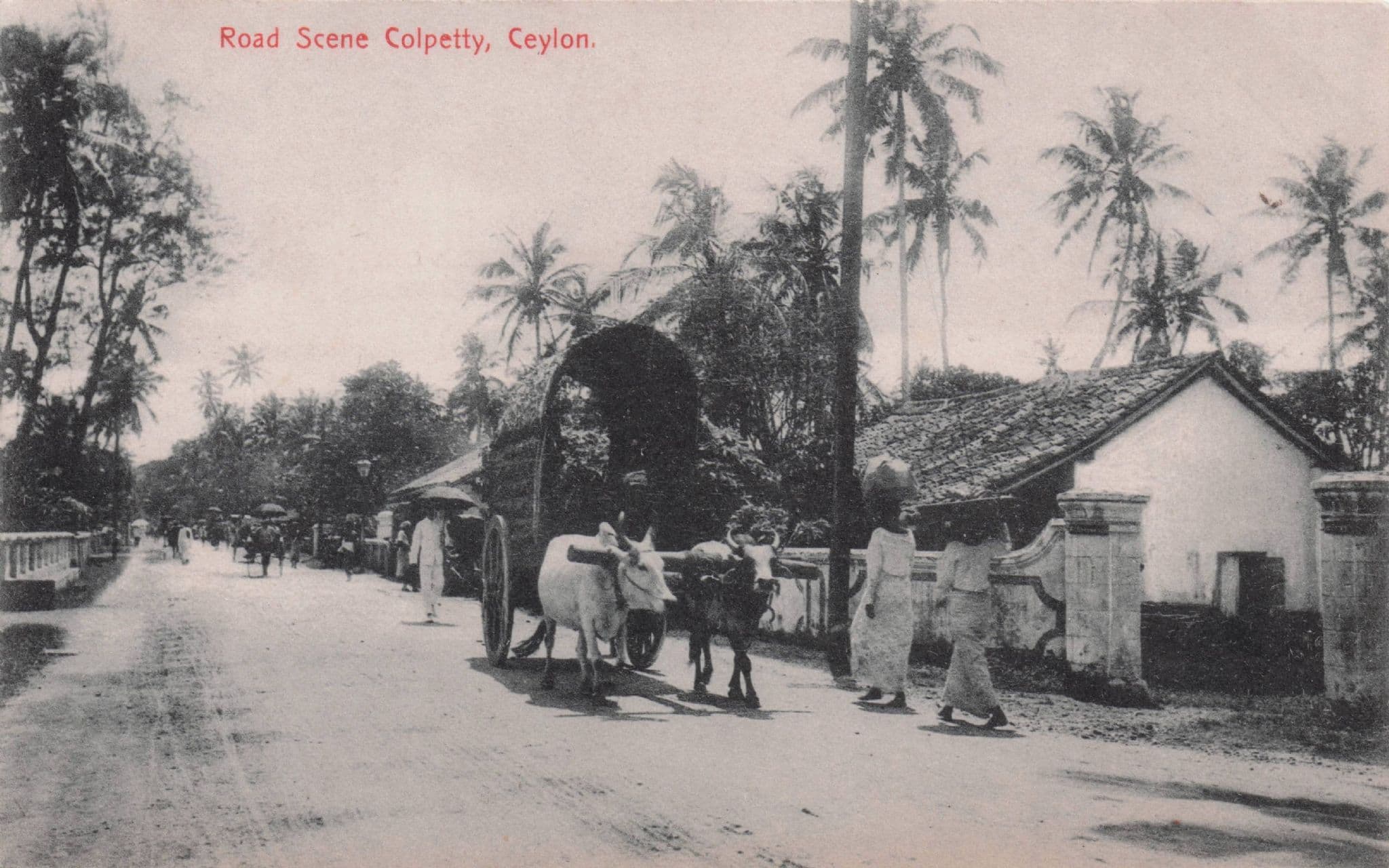 Road Scene Colpetty Colombo India Transport Old Postcard