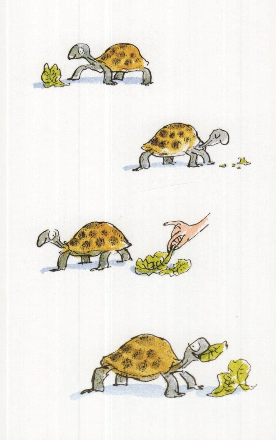 Roald Dahl Esio Trot Book Tortoise Illustration Postcard