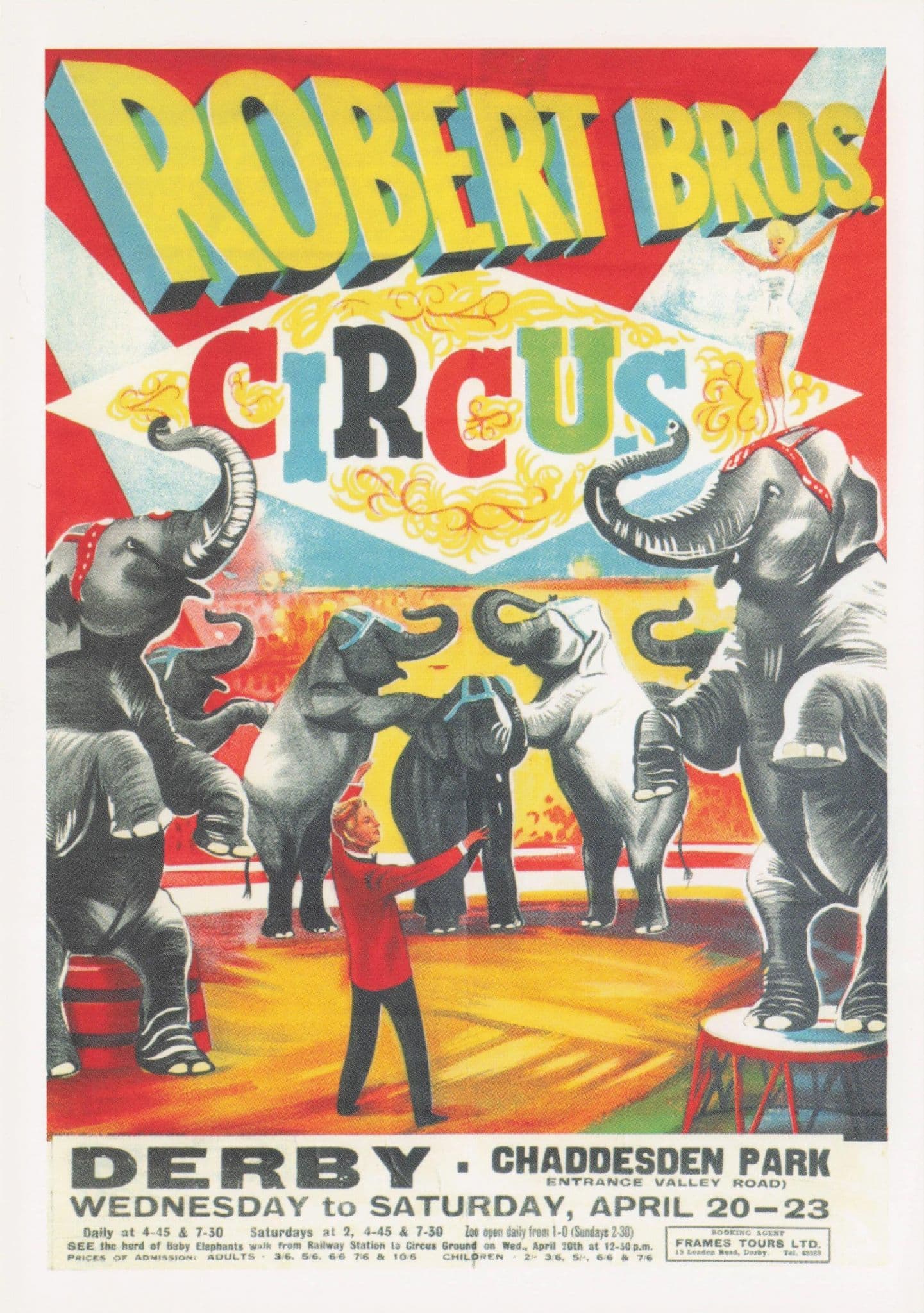 Robert Brothers Circus Elephants at Chaddesden Park Derby Poster Postcard