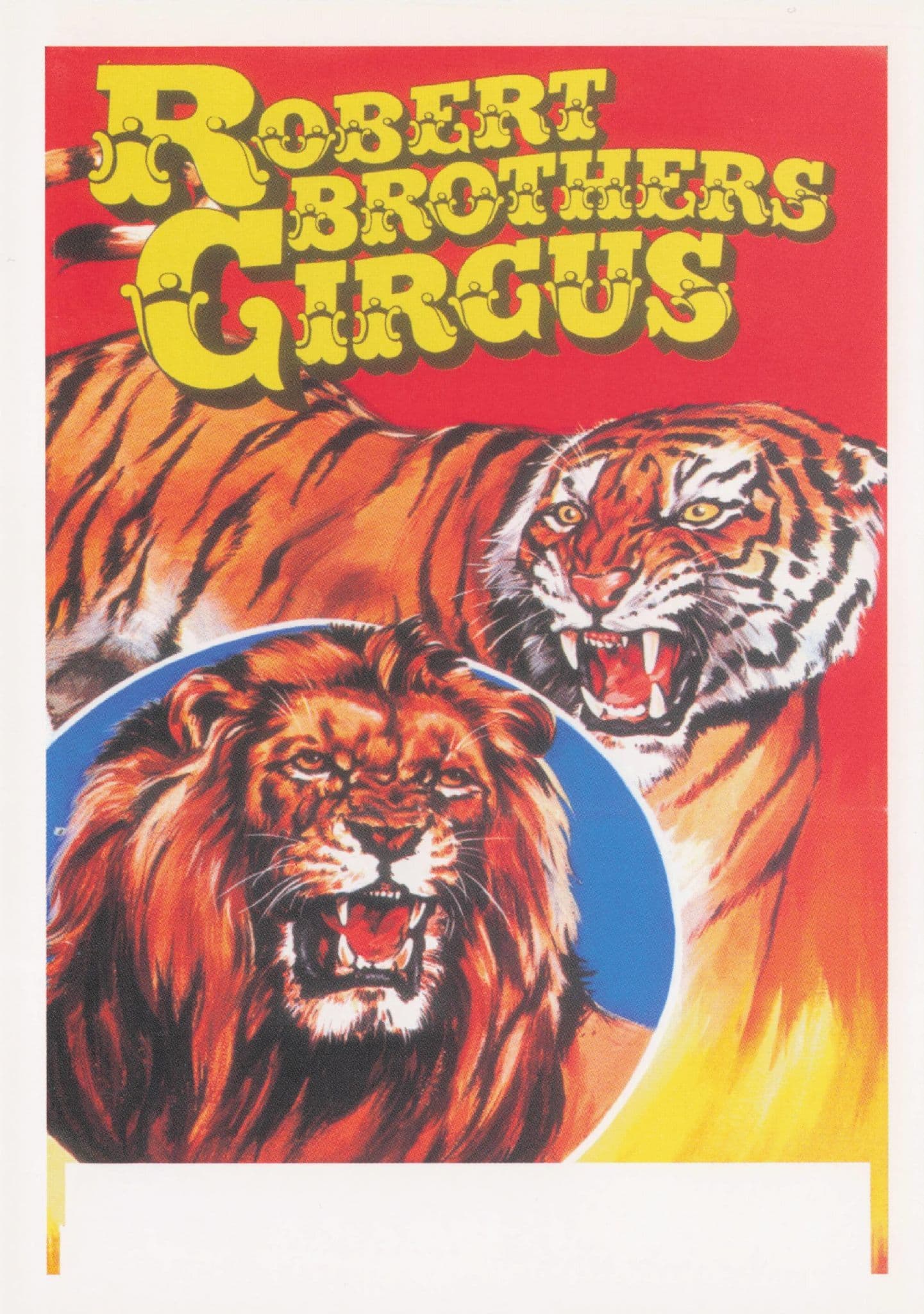 Robert Brothers Circus Lions Bengal Tigers Poster Postcard