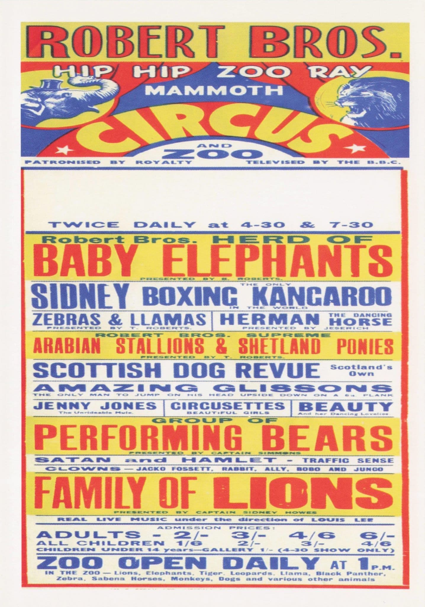 Robert Brothers Circus Televised By BBC Boxing Kangaroo Poster Postcard