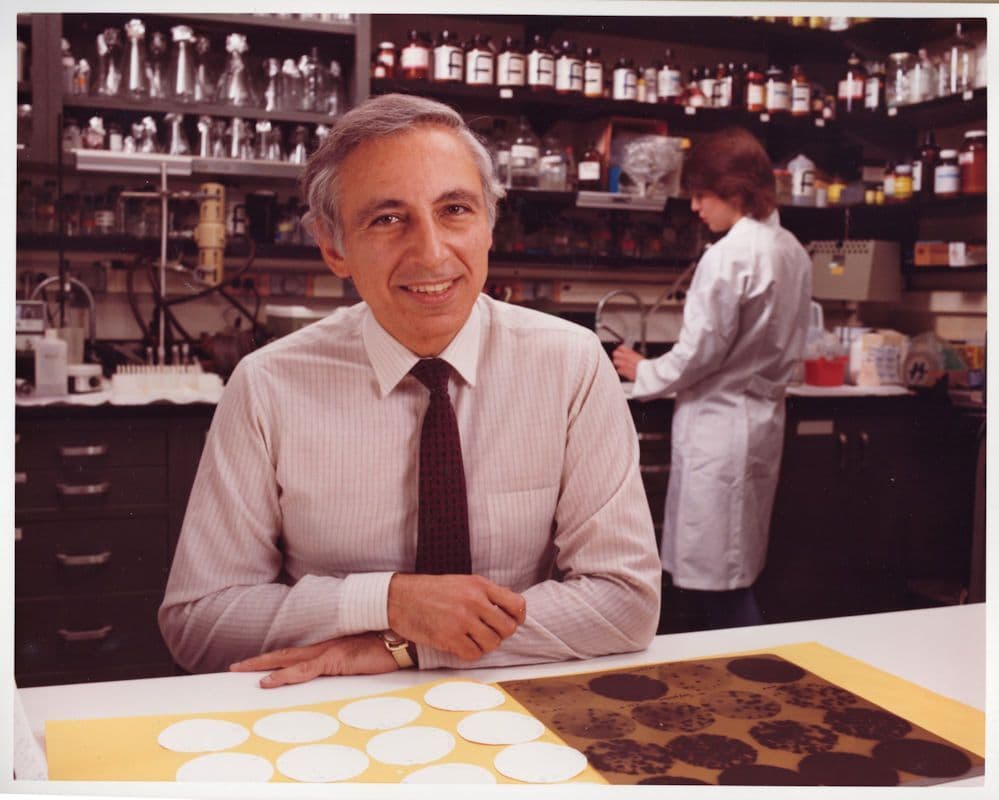 Robert Gallo AIDS HIV Scientist GIANT Reverse 10x8 Hand Signed Photo