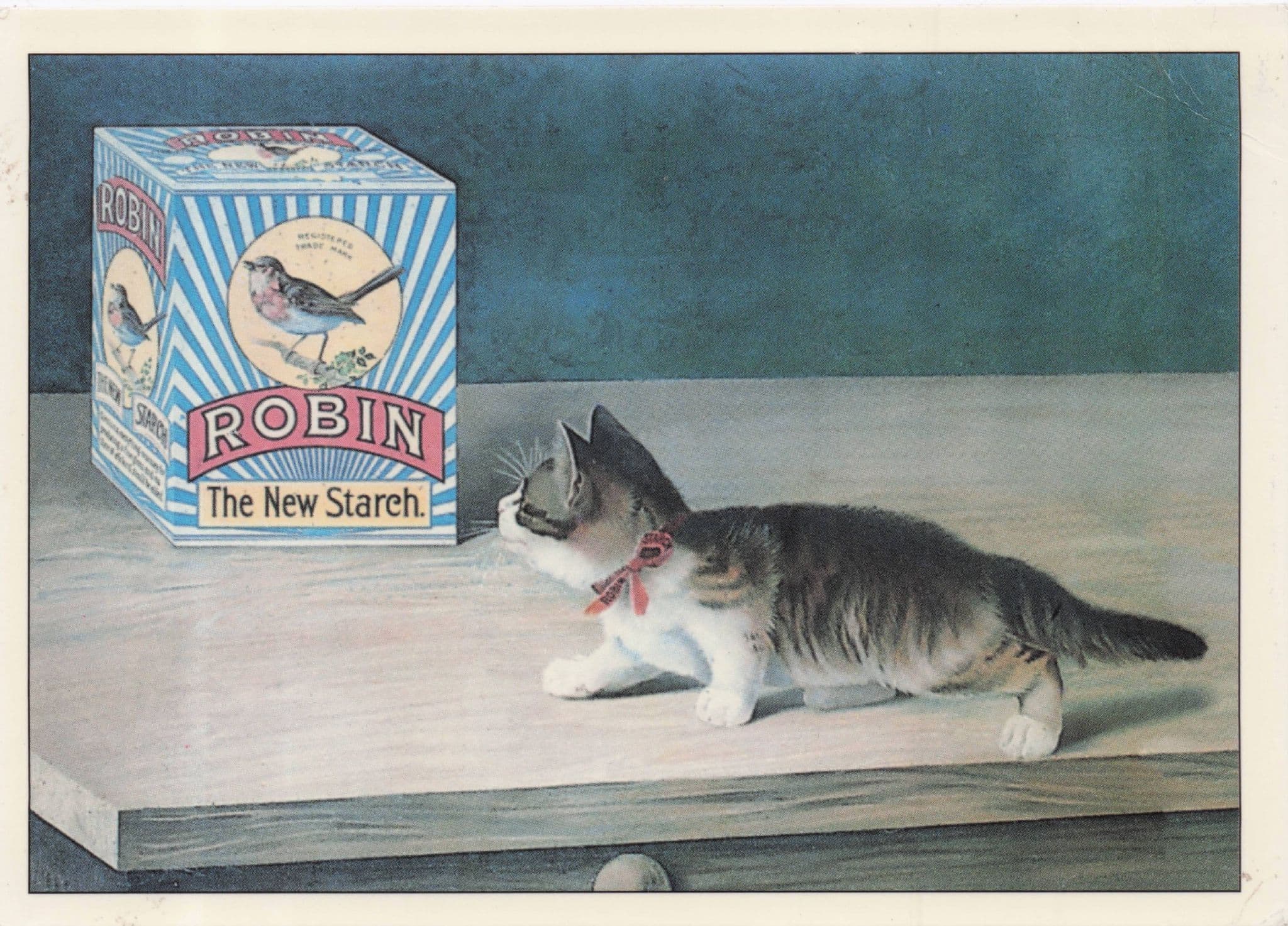 Robin Bird Food Box Starch Seed Kitten Advertising Poster Postcard
