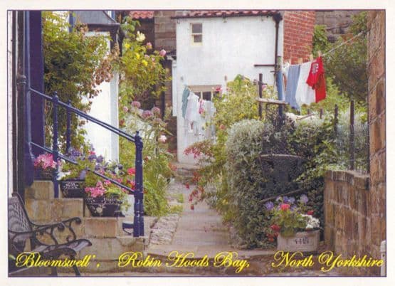 Robin Hoods Bay Bloomswell Laundry Dirty Washing Grocers Stores Postcard