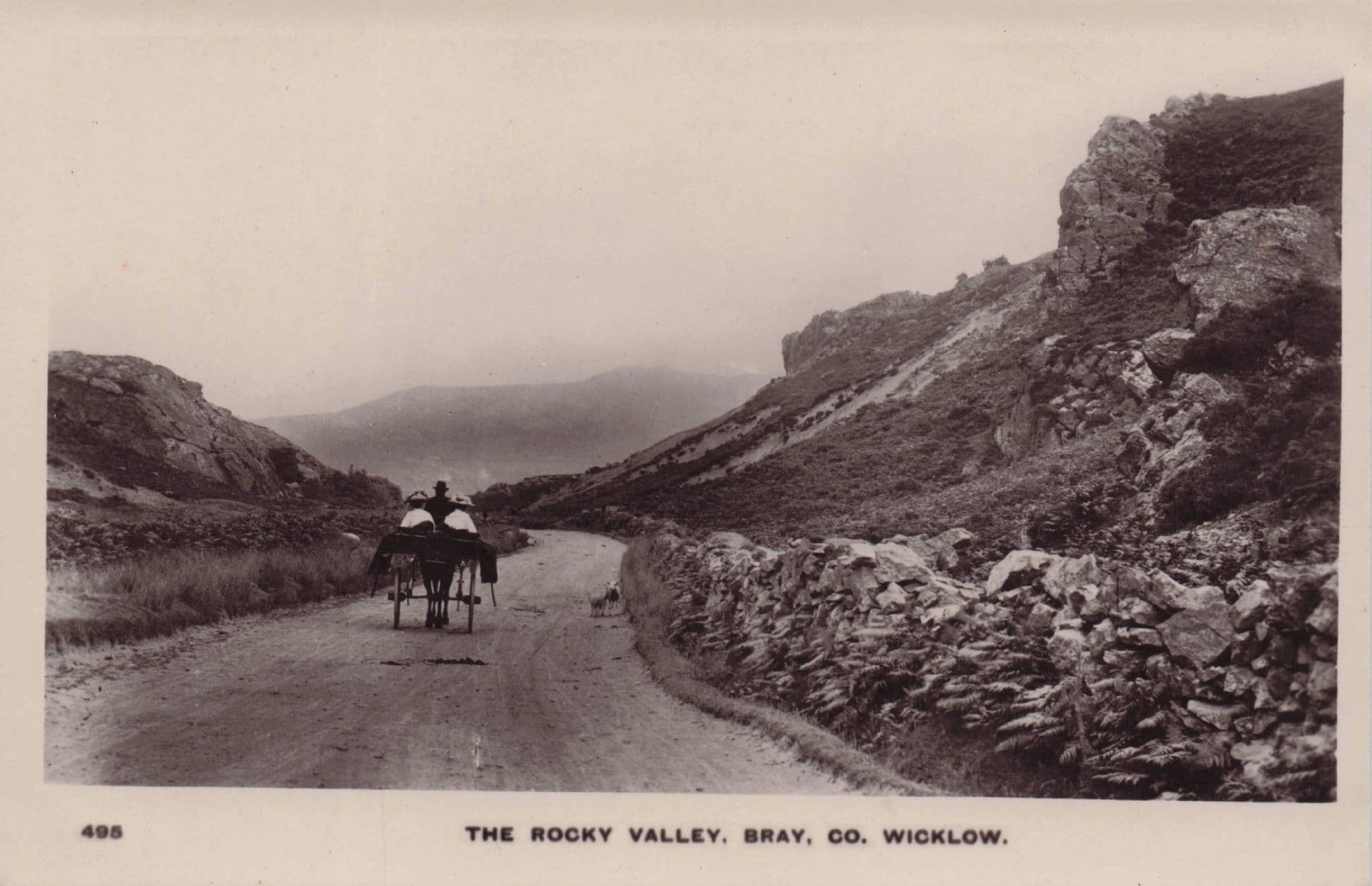 Rocky Valley Bray County Wicklow Transport Old Irish RPC Postcard