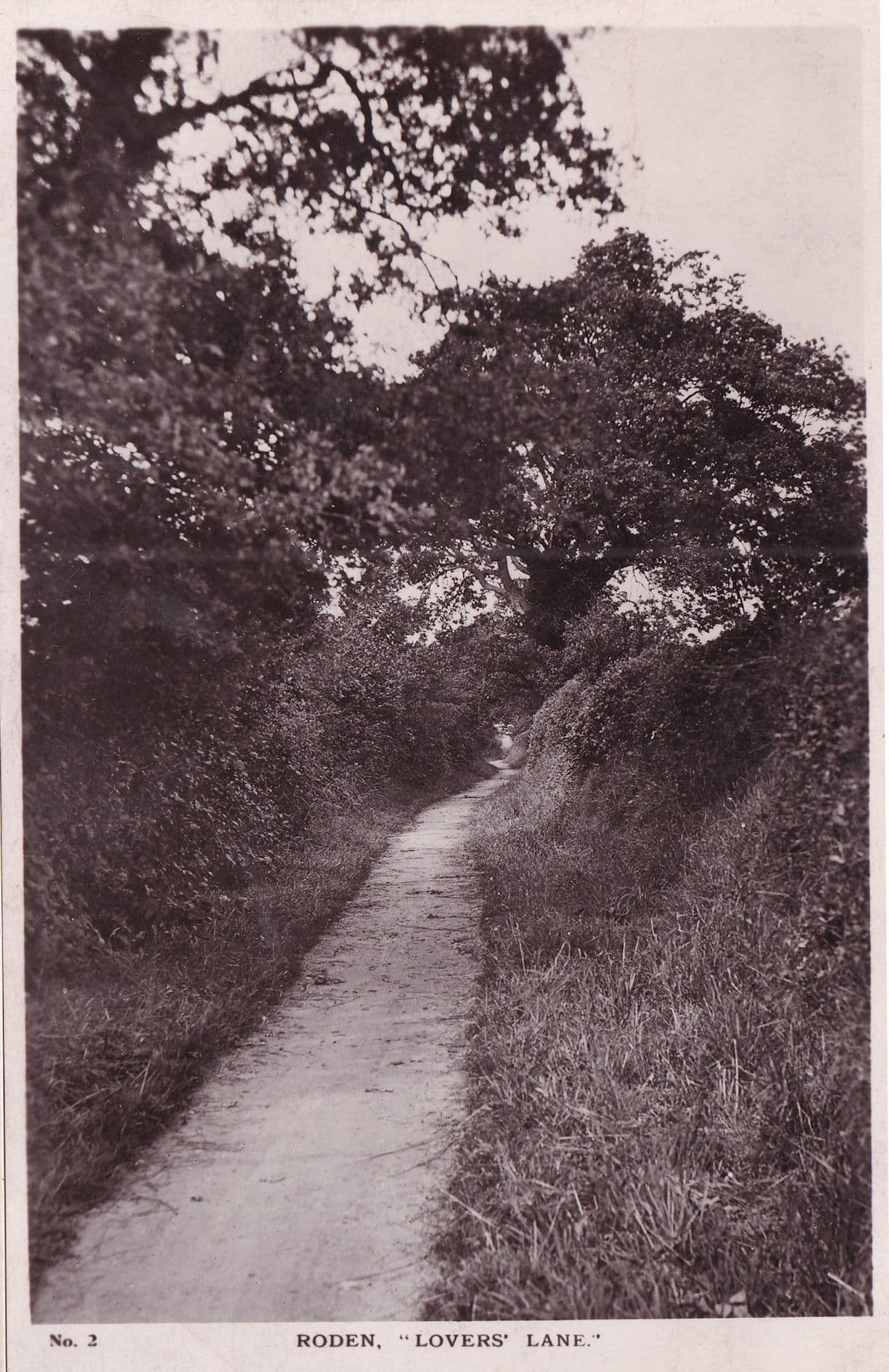 Roden Haughmond Shrewsbury Lovers Lane Real Photo Postcard