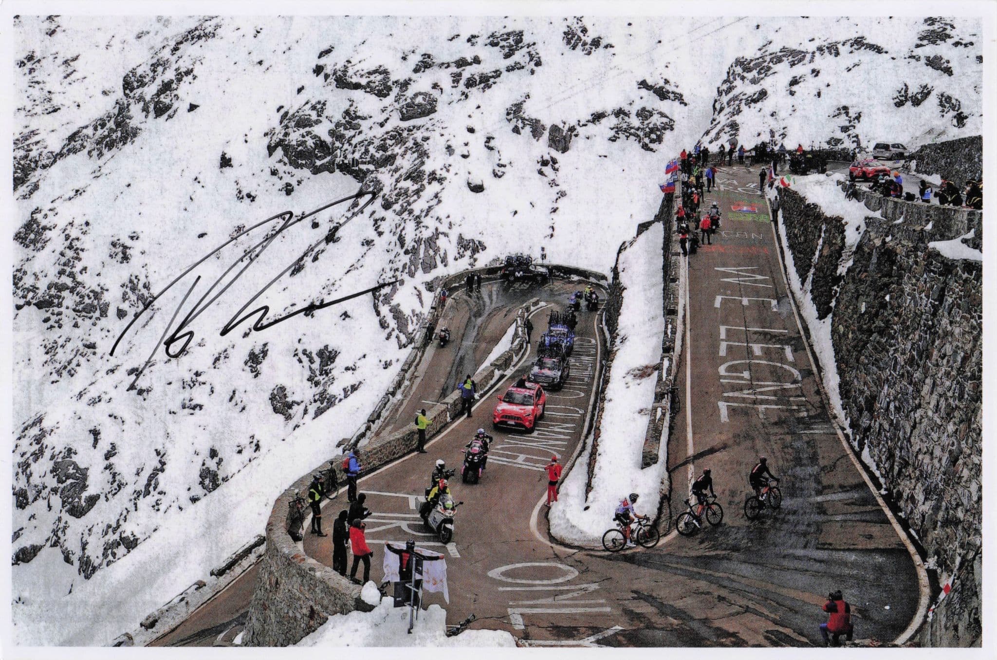 Rohan Dennis Australian Cycling 2020 Giro D'Italia 12x8 Hand Signed Photo